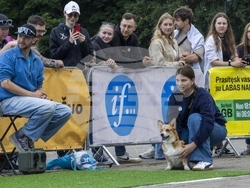 Lithuania Corgi Racing