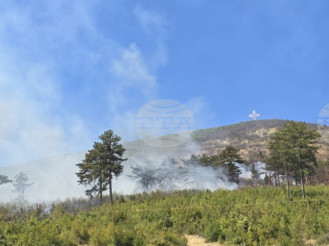 Wildfire Near Sliven Brought Under Control