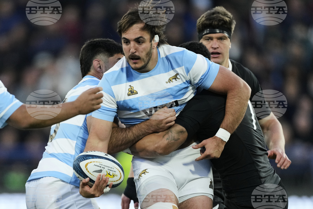 Argentina New Zealand Rugby Championship