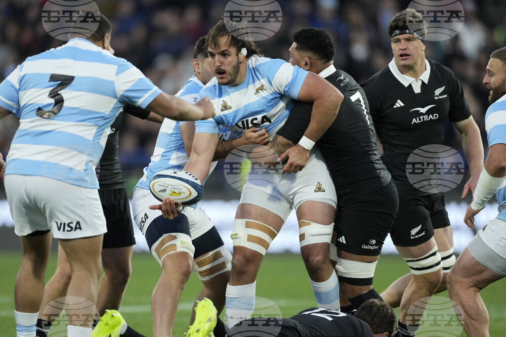 Argentina New Zealand Rugby Championship