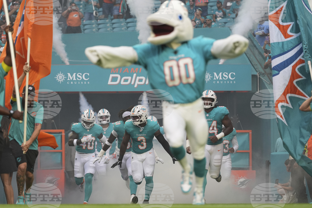 Jags Dolphins Football