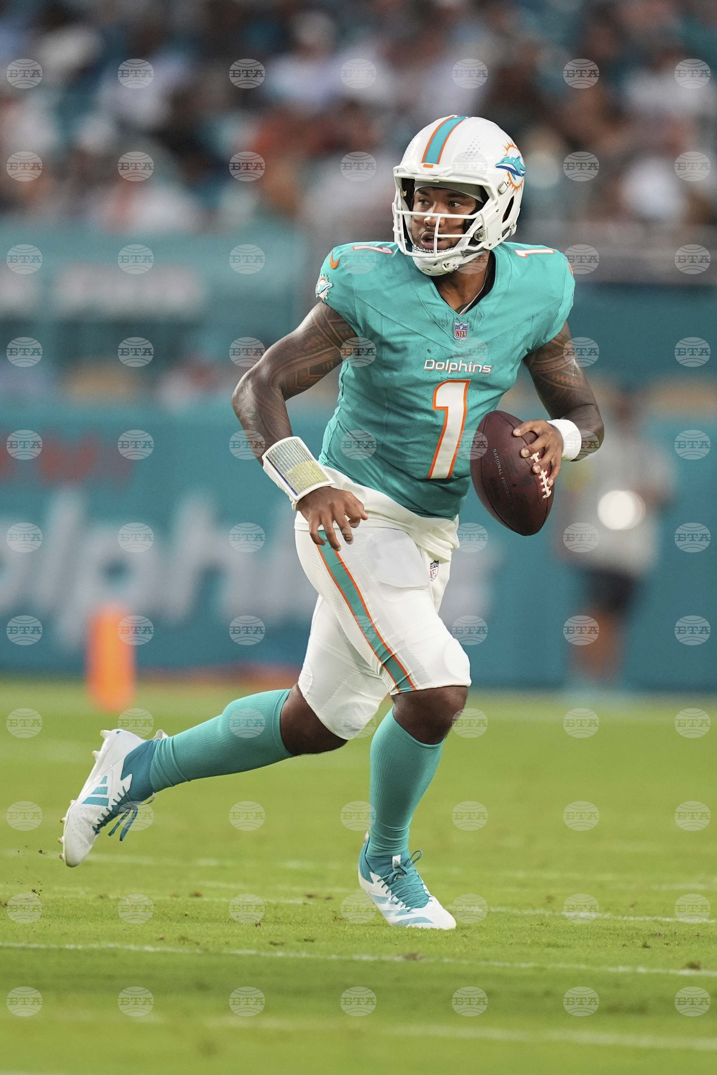 Jags Dolphins Football