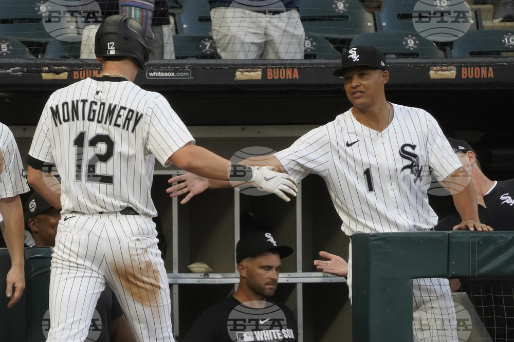Twins White Sox Baseball