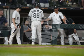 Twins White Sox Baseball