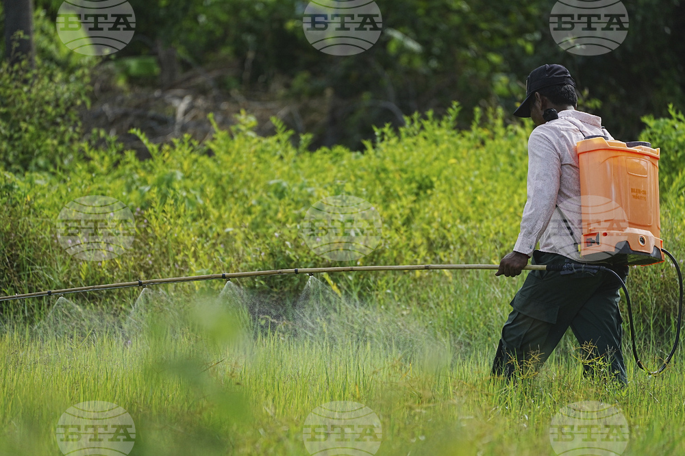 Cambodia Daily Life