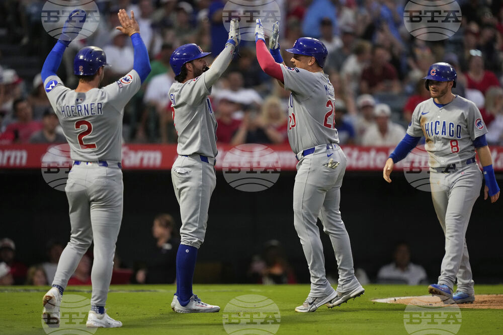 Cubs Angels Baseball
