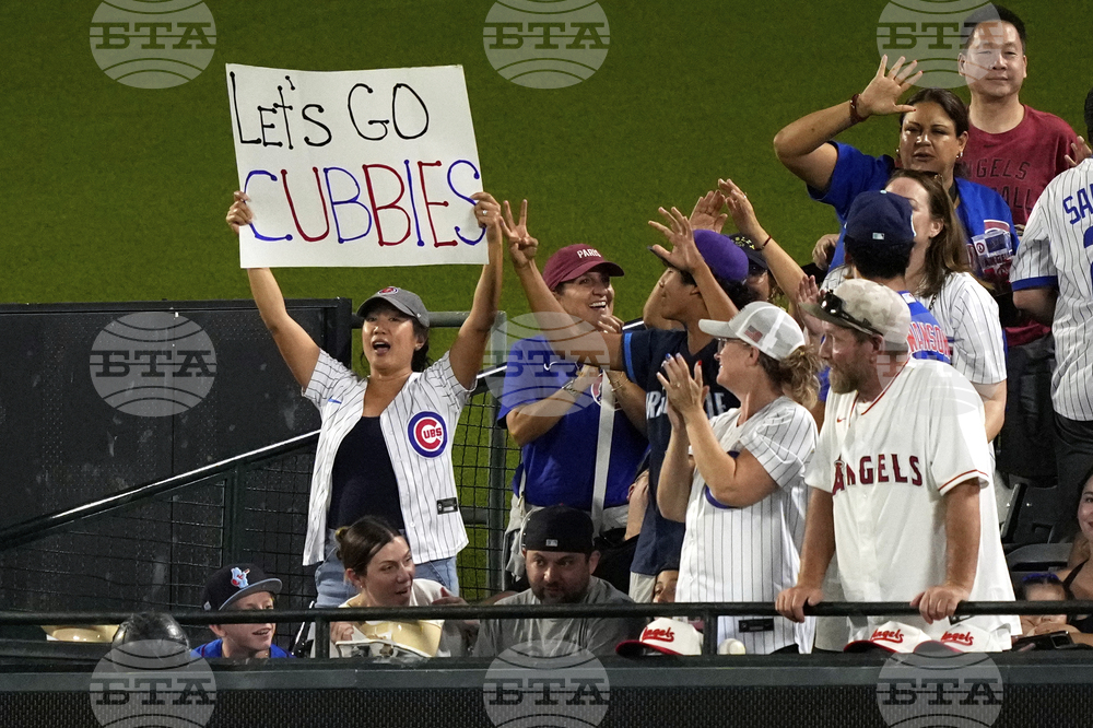 Cubs Angels Baseball