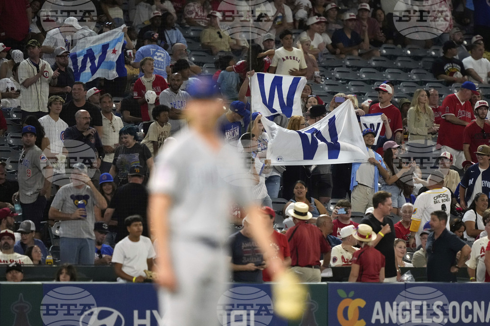 Cubs Angels Baseball