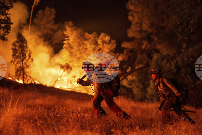Учени използват изкуствен интелект за по-добро предвиждане на пожари