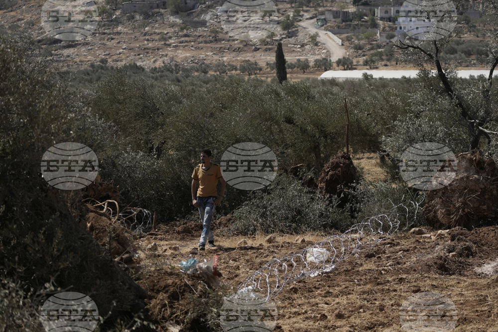 Israel Palestinians