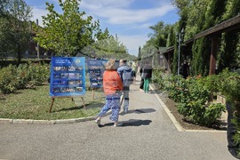 Оряхово - Цанко Цанков - световен рекорд