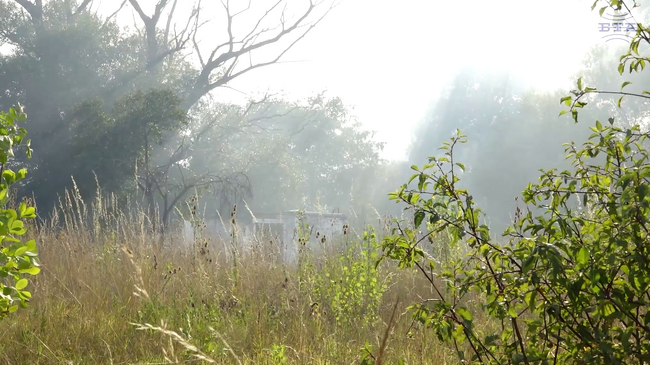 Локализиран е пожарът в столичния квартал „Кръстова вада“