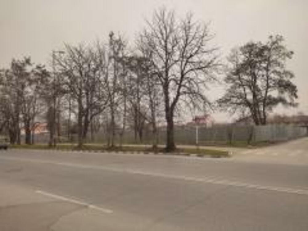 Община Асеновград санкционира бизнесмена, отрязал дървета до жп гарата в града