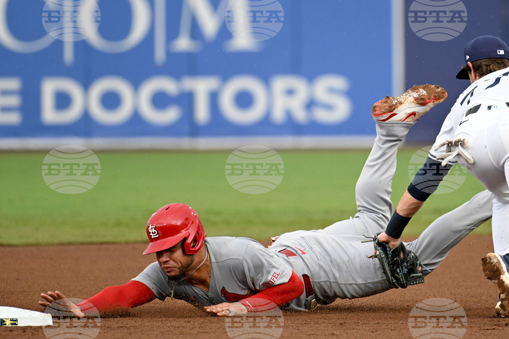 APTOPIX Cardinals Rays Baseball