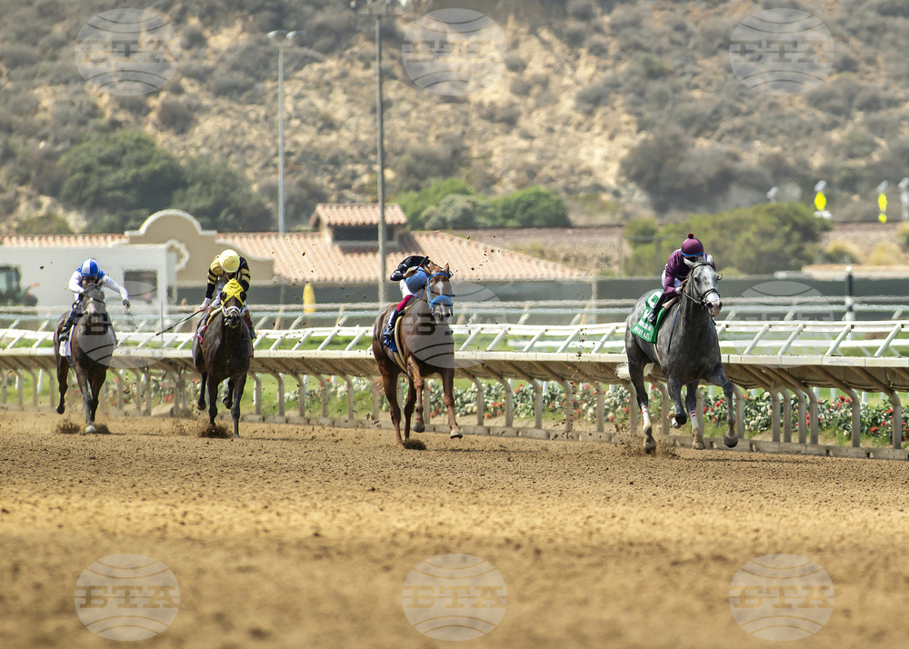 Del Mar Horse Racing