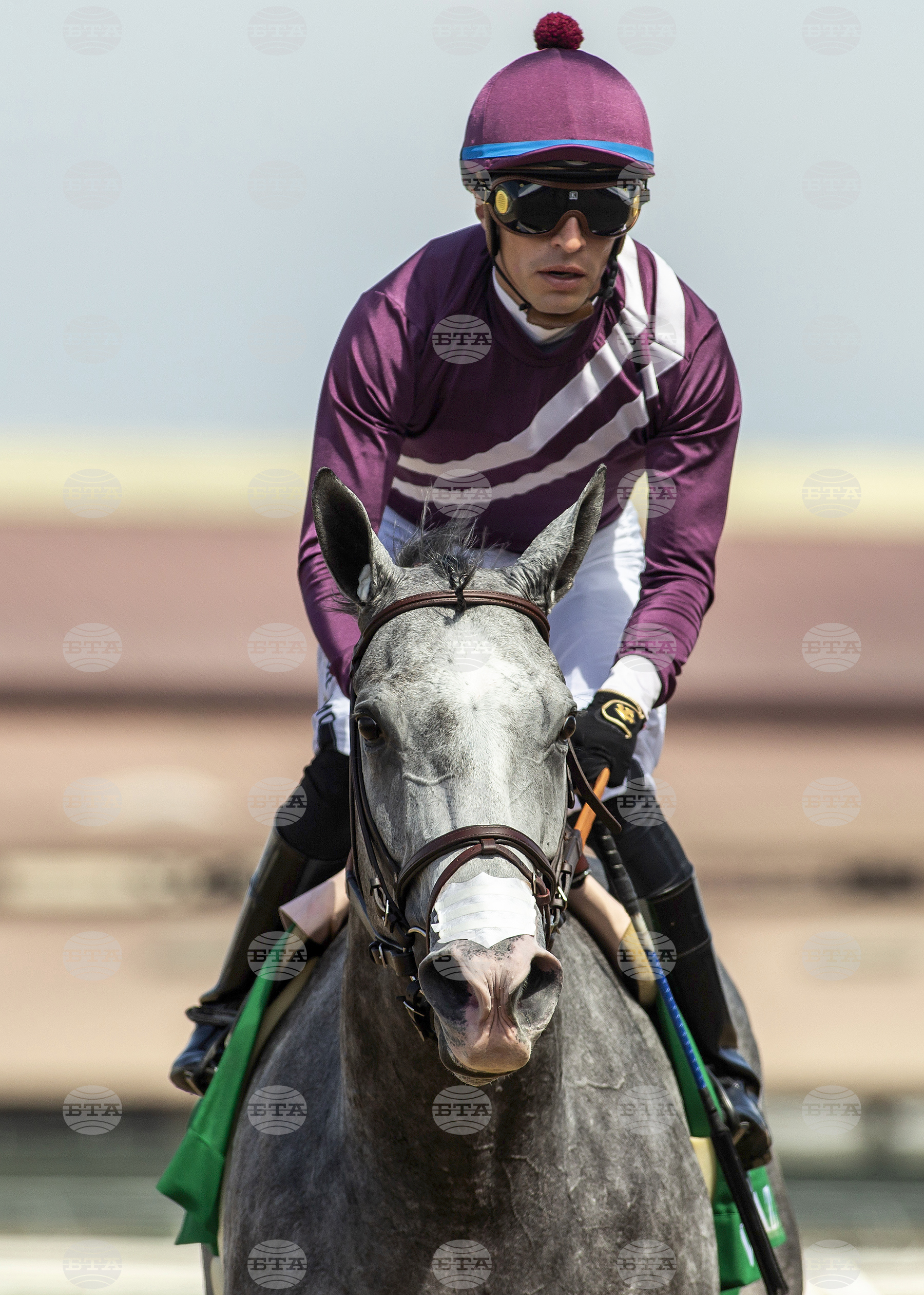 Del Mar Horse Racing