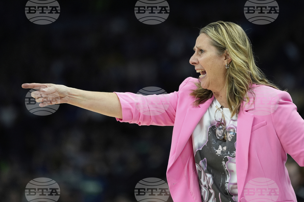 Fever Lynx Basketball
