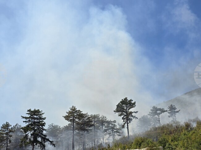 Детска игра с огън е предизвикала големия пожар край Сливен в местността Свети Георги