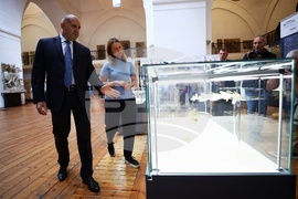 „Блясъкът на елинистическото злато - повелителят на Сакар“ - изложба - Румен Радев