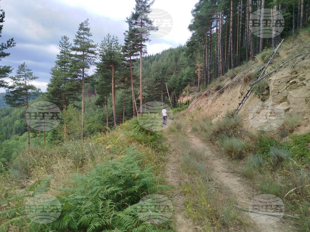 Поставени са фотокапани за проследяване поведението на мечката, която нападна човек от девинското село Лясково