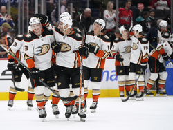 Ducks Capitals Hockey