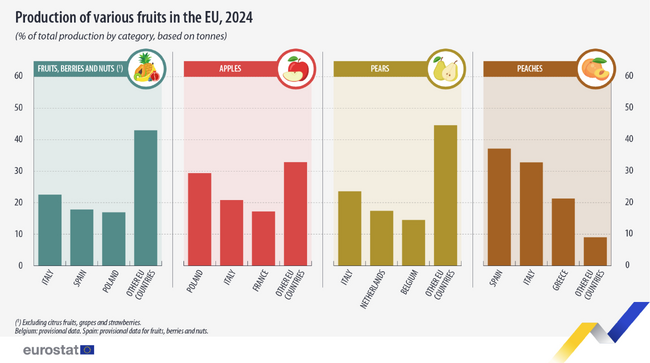 Harvested Vegetables and Fruits Increase in Bulgaria in 2024