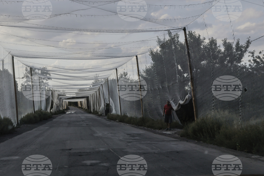 Russia Ukraine War