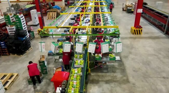 АТА: Износът на плодове и зеленчуци от Албания през първите шест месеца се е увеличил с 10% на годишна база