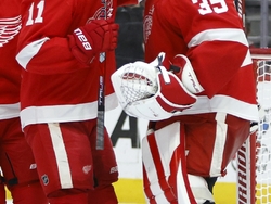 Rangers Red Wings Hockey