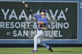Reds Dodgers Baseball