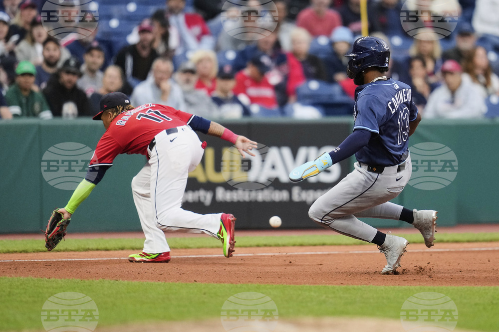 Rays Guardians Baseball