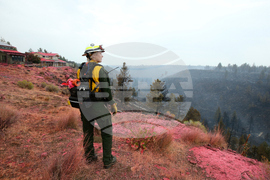Western Wildfires