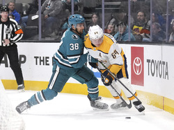 Predators Sharks Hockey