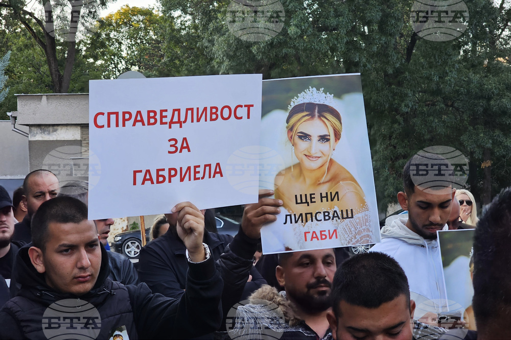 Русе - болница - родилка - протест