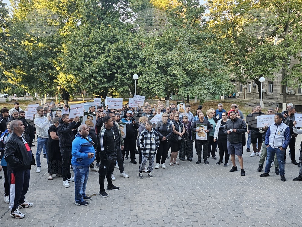 Русе - болница - родилка - протест