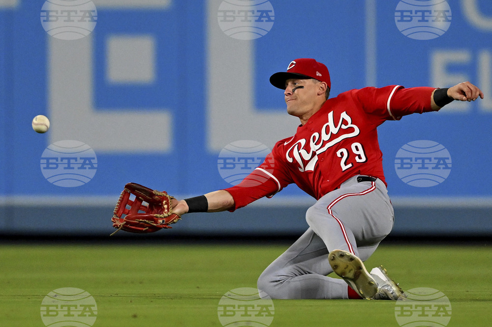 Reds Dodgers Baseball