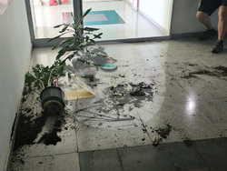 Русе - болница - родилка - протест