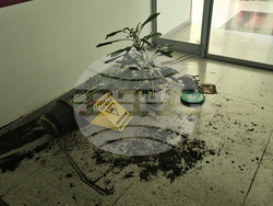 Русе - болница - родилка - протест