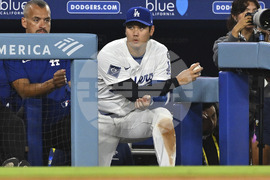 Reds Dodgers Baseball