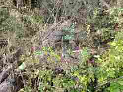 Снимка: Областна администрация Русе