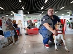 Летище „Васил Левски“ - Международен ден на кучето