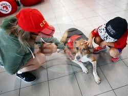 Летище „Васил Левски“ - Международен ден на кучето