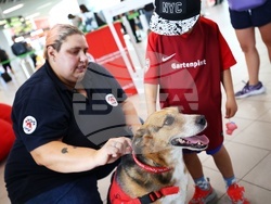 Летище „Васил Левски“ - Международен ден на кучето