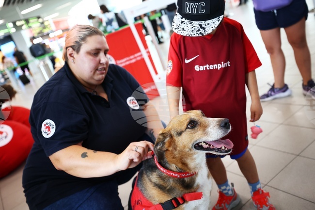 В Международния ден на кучето Смайли очаква деца и възрастни на столичното летище „Васил Левски“