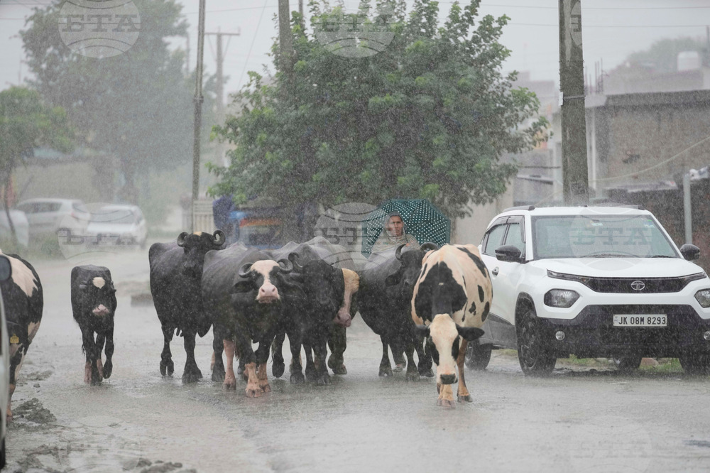 India Pakistan India Floods