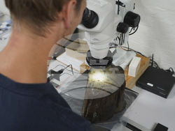 Denmark Underwater Archaeology