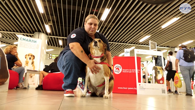 В Международния ден на кучето Смайли очаква деца и възрастни на столичното летище „Васил Левски“