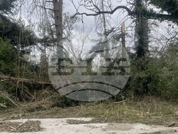 Снимка: Община Шумен