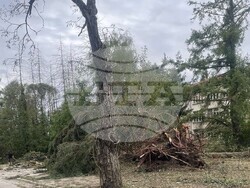 Снимка: Община Шумен