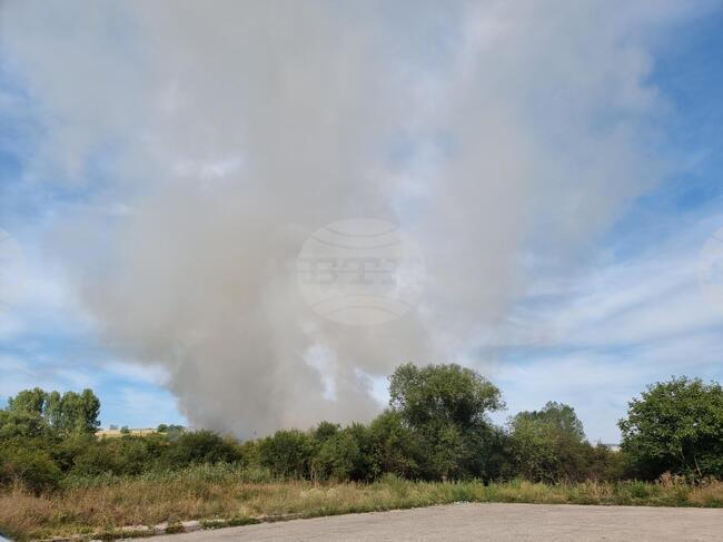 Потушен е пожар в сухи треви между селата Белащица и Брани поле 